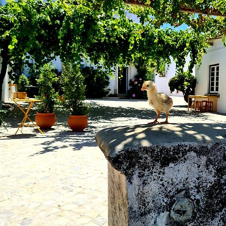 Oryza Guest House& Suites Coimbra Luaran gambar