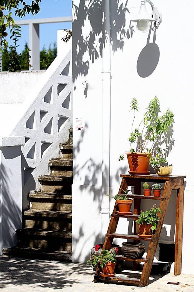Oryza Guest House& Suites Coimbra Luaran gambar